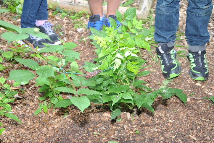 Catéchisme | Camp de catéchisme, 2014
